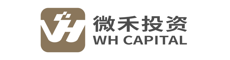 火山石投资